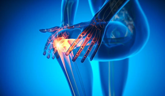 Correlation of meniscus tear type with synovial inflammation and the therapeutic potential of docosapentaenoic acid