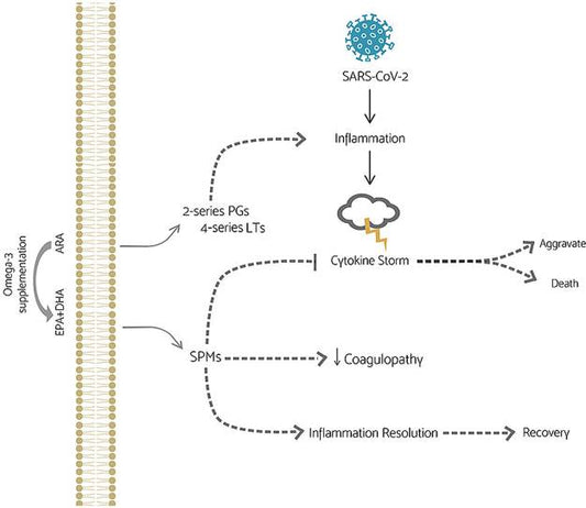 Potential benefits of omega-3 supplementation to patients with COVID-19