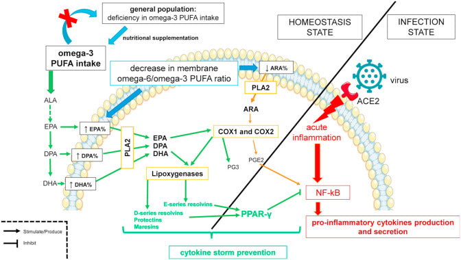 May omega-3 fatty acid dietary supplementation help reduce severe complications in Covid-19 patients?