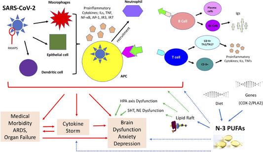 Omega-3 fatty acids in the psychological and physiological resilience against COVID-19